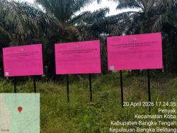 Panen Sawit di Lahan Sitaan Negara Terorganisir, Indikasi Keterlibatan Aparat Terkuak