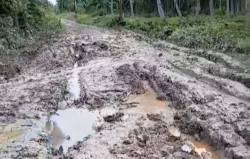 Jalan Simpang Jelita Rusak Parah Hambat Mobilitas Ekonomi, Warga Harap Perhatian Pemda Tanjabtim  