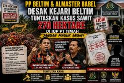 Kasus Sawit 270 Hektare Mandek, PP Beltim dan Almaster Babel Ancam Lapor Kejari Beltim ke Kejagung dan Komjak