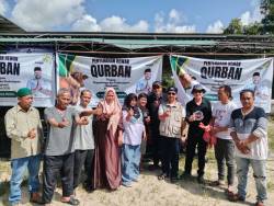 Arsari Tambang Group Tebar Kepedulian Iduladha, 2 Ekor Sapi Kurban Dibagikan untuk Masyarakat Babel
