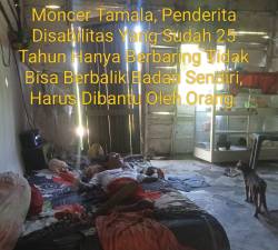 Pembagian Bansos di Kantor Pos & Giro Masohi Bulan Mei Tahun 2026, Kembali Menjadi Sorotan, Kadis Sosial Malteng Diminta Jangan Terulang Lagi