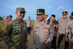 Panen Raya TNI Digelar Serentak, Kapolda Aceh Hadiri Kegiatan di Pidie Bersama Pangdam Iskandar Muda