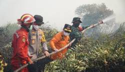 Polusi Udara Akibat Karhutla Selimuti Tanjabtim, DLH Imbau Warga Wajib Pakai Masker