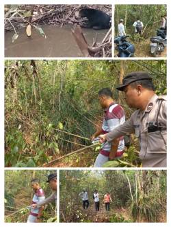 POLSEK RAMBANG CEK LOKASI KEMUNCULAN DIDUGA BERUANG HITAM DI SUNGAI RAMBANG, WARGA DIIMBAU WASPADA