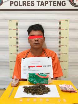 Polres Tapteng Ringkus PS, Diduga Pengedar Sabu dan Ganja di Sukabangun