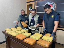 Polisi Gerebek Gudang Penyimpanan Narkoba di Kandang Ayam, 18 Kilogram Ganja Disita Dari 2 Sekawan