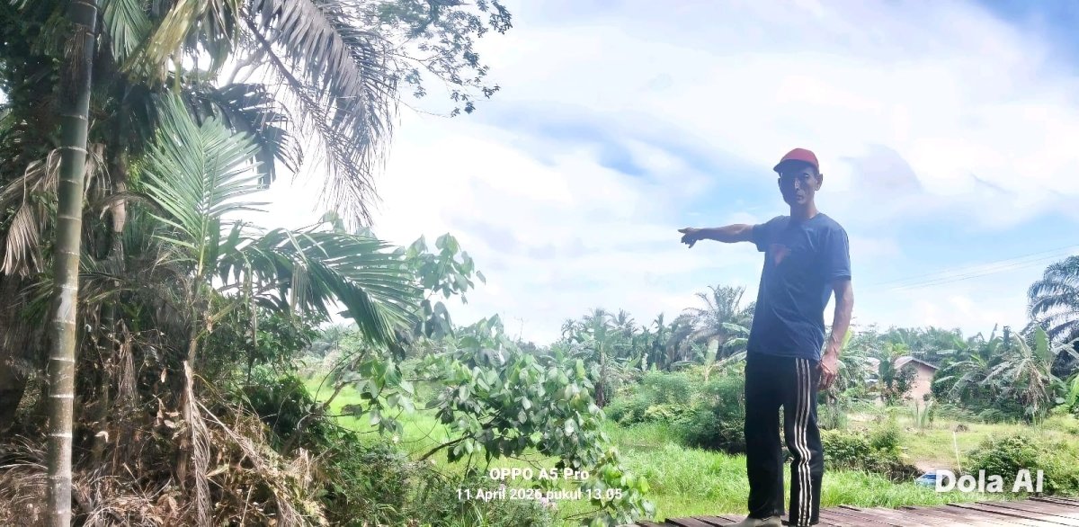 Pembiaran Pendangkalan Parit Primer Catur Rahayu Ancaman Banjir Yang Tak Terhindarkan Disejumlah Perdesaan Kecamatan Dendang
