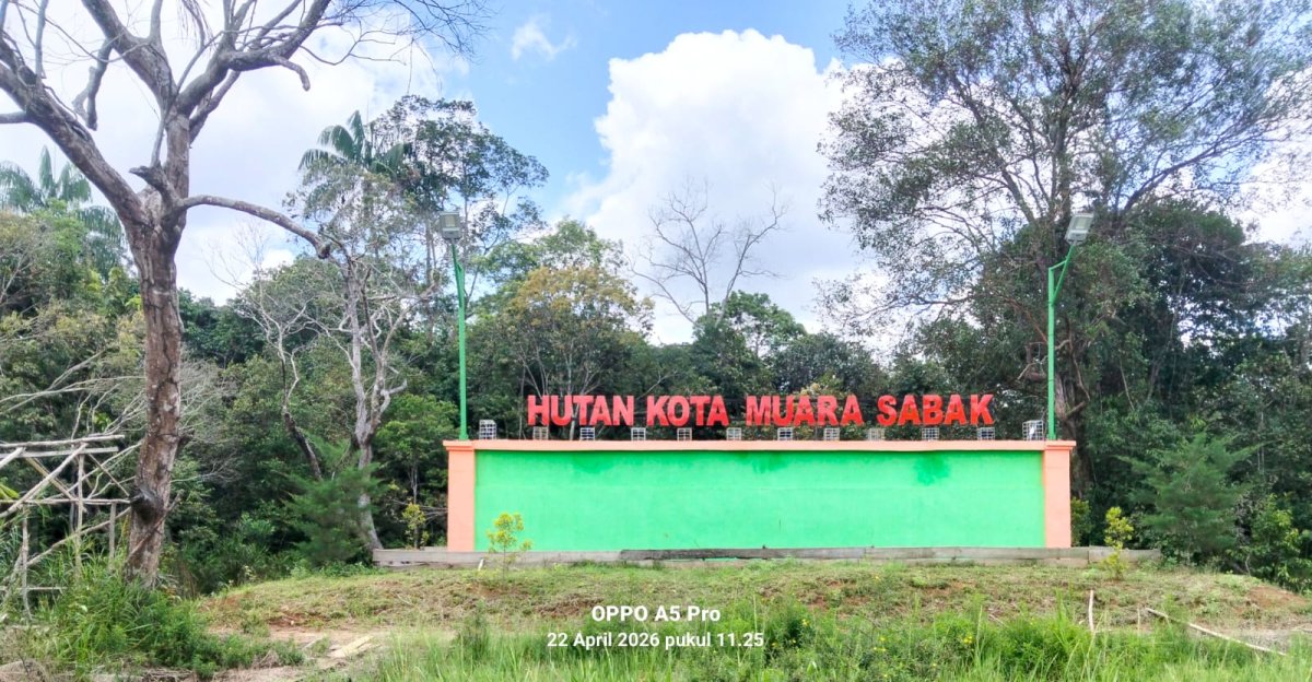 HUTAN KOTA TANJABTIM: DIDUGA PENYUMBANG POTENSI BANJIR SIMPANG GARUDA-RANO, SISTEM HIDROLOGIS DINILAI TIDAK BERSTANDAR