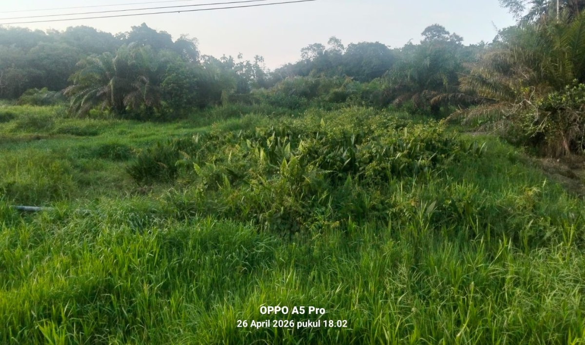 DESAKAN WAKIL RAKYAT: FRAKSI GERINDRA DPRD TANJABTIM MENDESAK PEMKAB SEGERA NORMALISASI SUNGAI RANO 