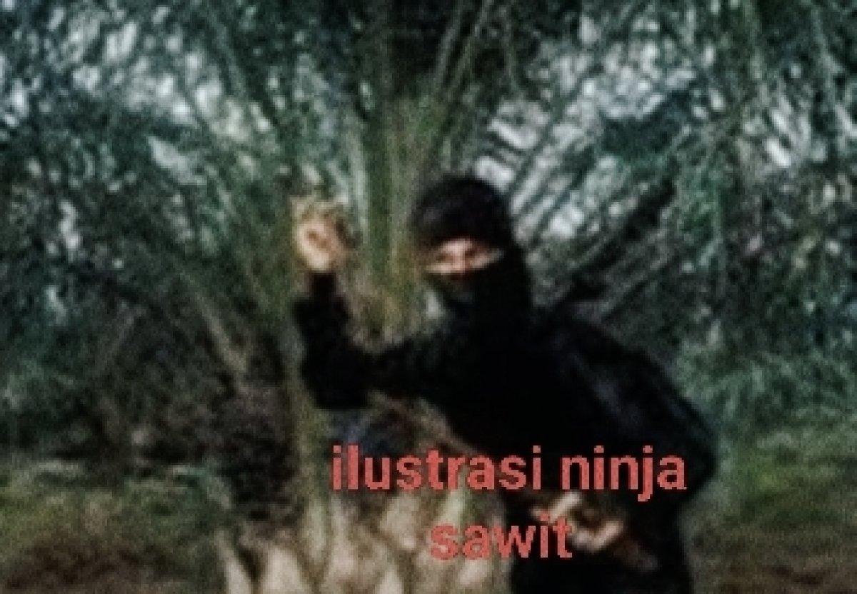 Warga Sabak Barat Resah, Aksi Ninja Sawit Semakin Merajalela