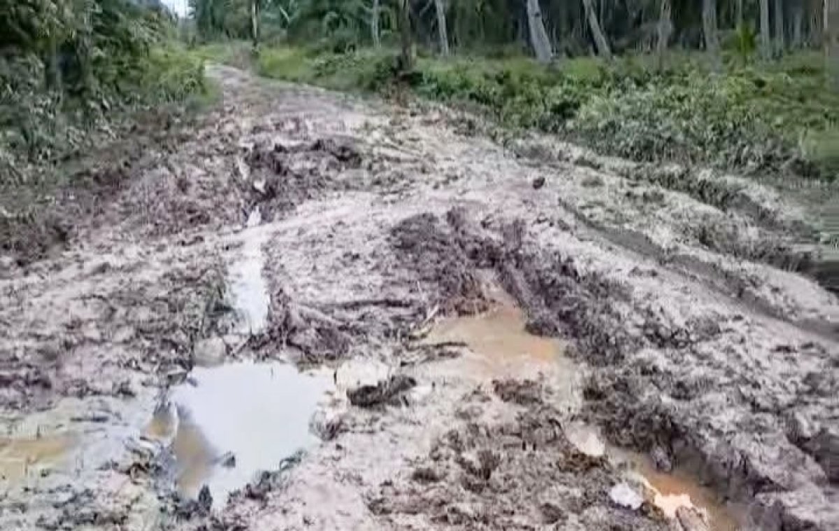 Jalan Simpang Jelita Rusak Parah Hambat Mobilitas Ekonomi, Warga Harap Perhatian Pemda Tanjabtim  