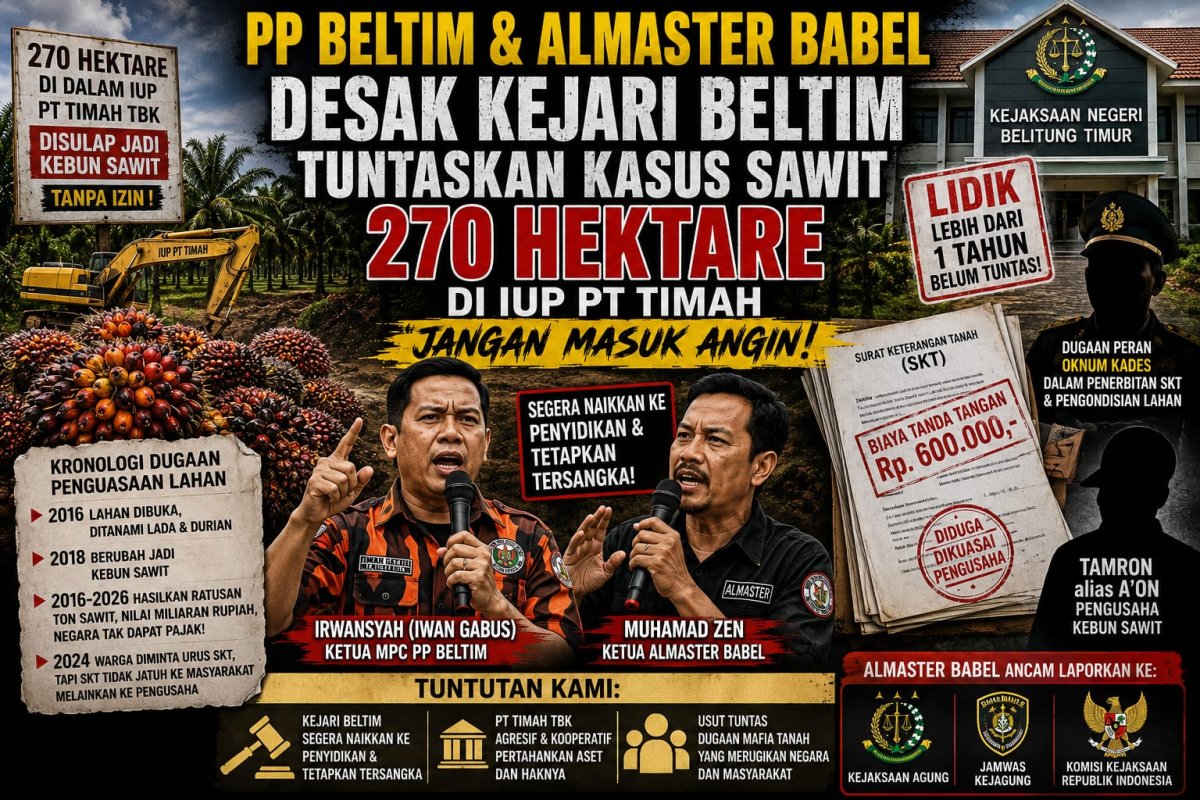 Kasus Sawit 270 Hektare Mandek, PP Beltim dan Almaster Babel Ancam Lapor Kejari Beltim ke Kejagung dan Komjak