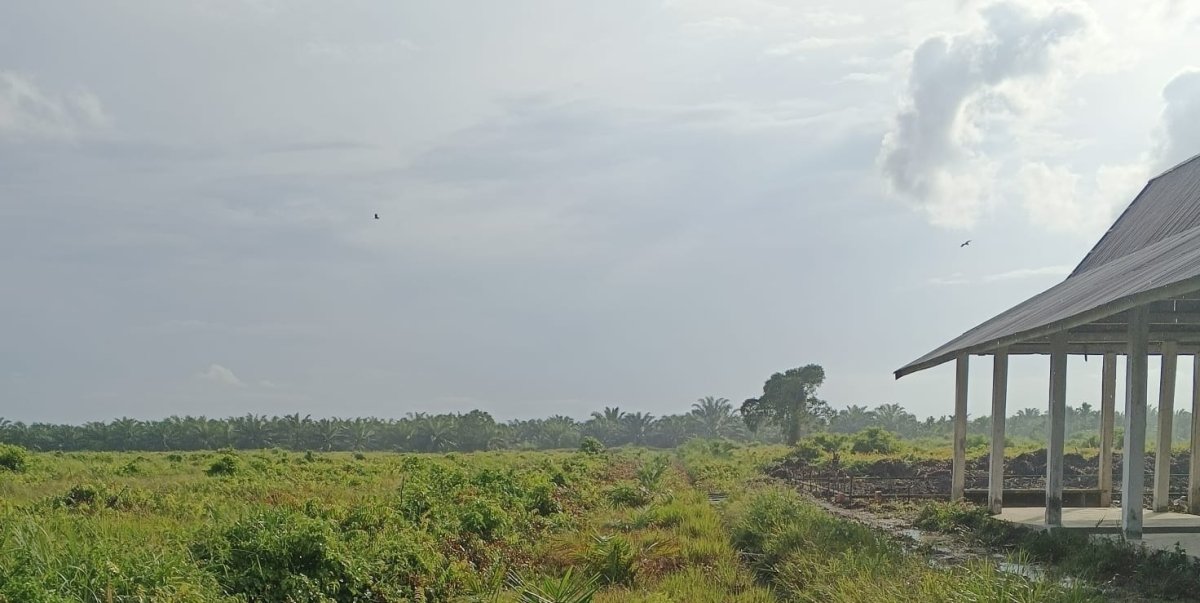 Polemik Sengketa Lahan Sungai Jambat-Sadu: Perbedaan Narasi Tegas Antara Kedua Belah Pihak, Perkara Telah Masuk Tahap Persidangan