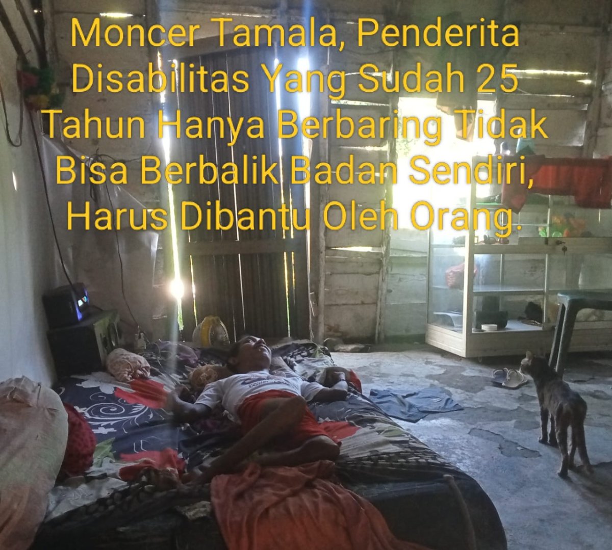 Pembagian Bansos di Kantor Pos & Giro Masohi Bulan Mei Tahun 2026, Kembali Menjadi Sorotan, Kadis Sosial Malteng Diminta Jangan Terulang Lagi