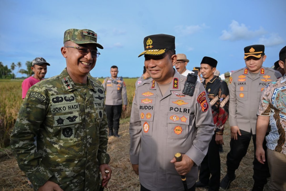 Panen Raya TNI Digelar Serentak, Kapolda Aceh Hadiri Kegiatan di Pidie Bersama Pangdam Iskandar Muda