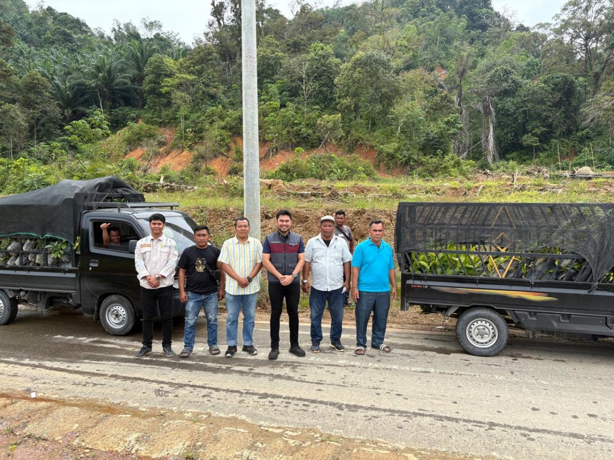 Semarak HUT ke-81 Tapteng, PLN Indonesia Power UBP Labuhan Angin Serahkan dan Tanam 1.000 Bibit Pohon