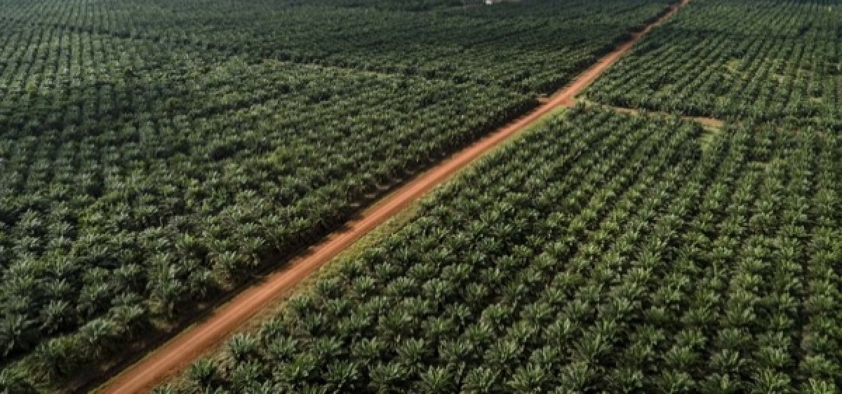 UU Reforma Agraria Disahkan, 24 Ribu Rakyat Miskin Tanjabtim Menanti Keadilan Atas Tanah