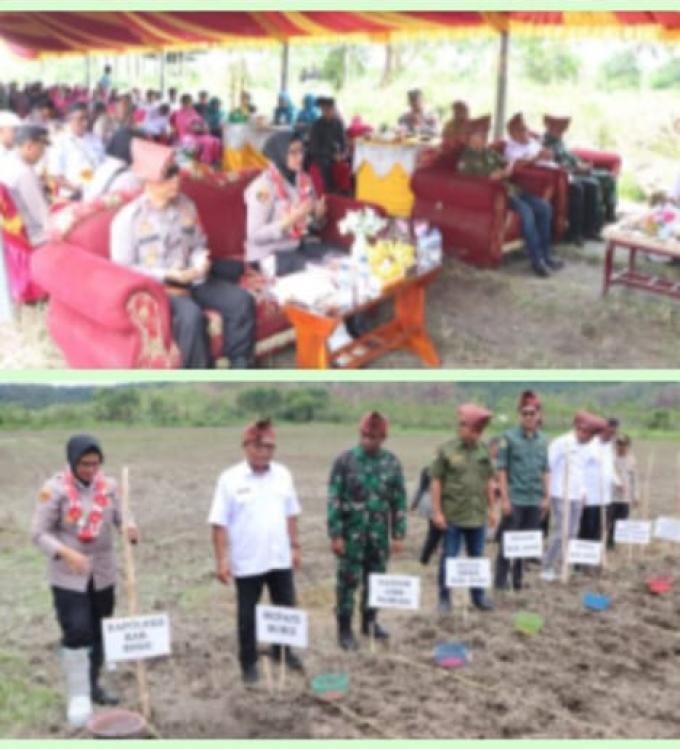 KAPOLRES BURU HADIR PENANAMAN JAGUNG DI DESA AWALINA KECAMATAN AIR BUAYA