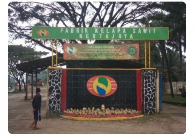 PTPN VIII PKS KERTAJAYA TOLAK TANDAN BUAH SAWIT PLASMA,PETANI DAN PENGUSAHA MENGELUH