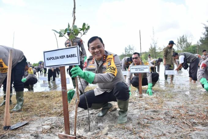 Ancaman Tambang Timah Ilegal Dekat Lokasi Penanaman Mangrove Kapolda Bangka Belitung